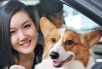 u=1724840378,398133578&fm=21&gp=0.jpg u=1724840378,398133578&fm=21&gp=0.jpg