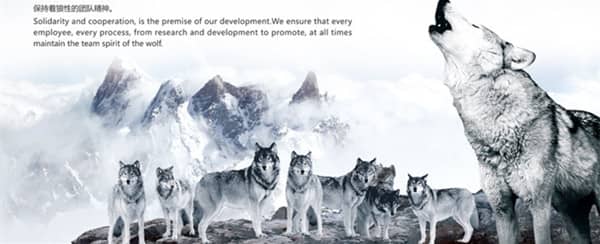 训狗基地 训狗学校.jpg 训狗基地 训狗学校.jpg