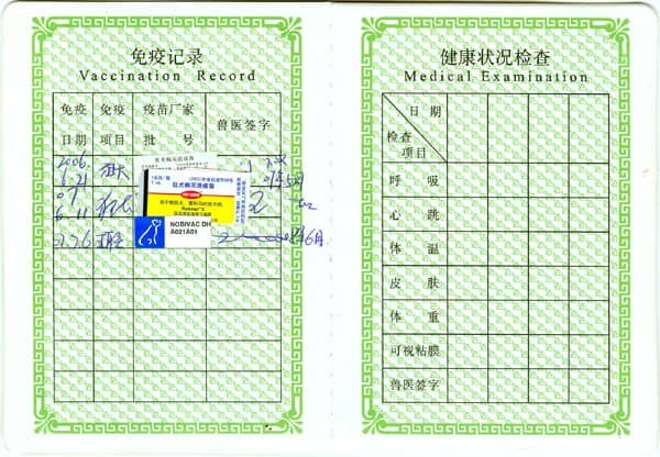 狗狗上学免疫证明 狗狗上学证明 狗狗上学免疫证明 狗狗上学证明