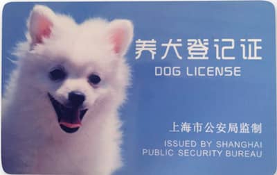 上海养犬登记证.狗狗上学的登记证 上海养犬登记证.狗狗上学的登记证