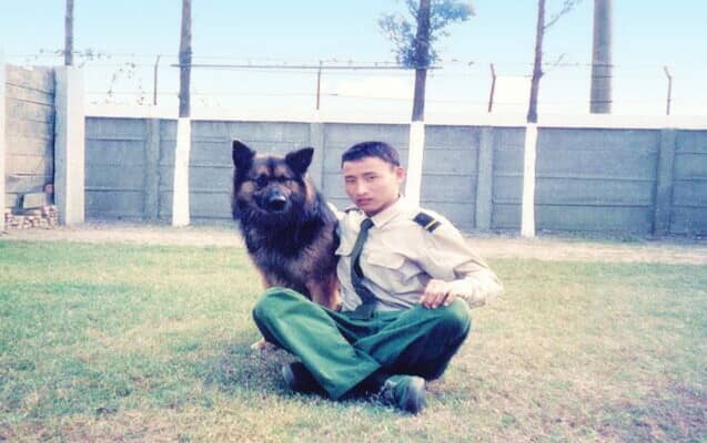 狗狗培训 军犬训练.jpg 狗狗培训 军犬训练.jpg