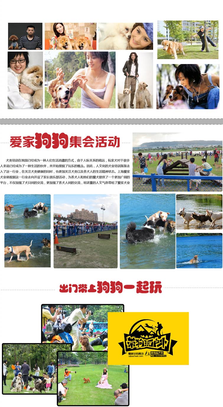 爱家训狗学校.jpg