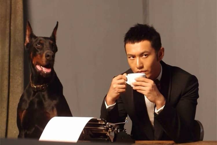 明星与杜宾犬 杜宾犬与明星 爱家训狗杜宾专业训练. 明星与杜宾犬 杜宾犬与明星 爱家训狗杜宾专业训练.