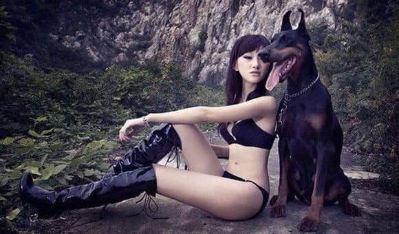 杜宾犬与美女 杜宾影视训练 杜宾培训. 杜宾犬与美女 杜宾影视训练 杜宾培训.