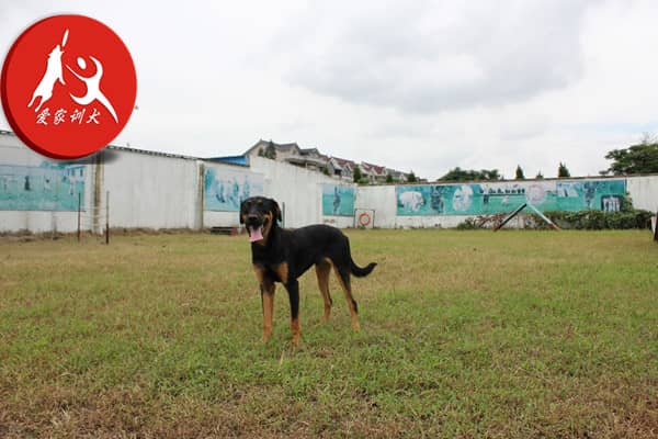 IMG_6642_副本.jpg IMG_6642_副本.jpg