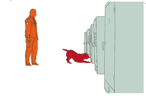 狗狗培训 搜寻犬训练 狗狗培训 搜寻犬训练