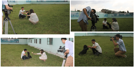 训犬基地 训犬学校 上海训犬学校 训犬基地 训犬学校 上海训犬学校