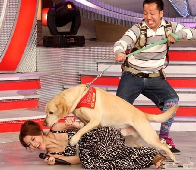 上海爱家训狗基地.jpg 上海爱家训狗基地.jpg