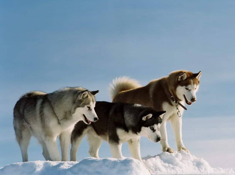 123530z00zqxxzu2nmw0to.jpg 123530z00zqxxzu2nmw0to.jpg