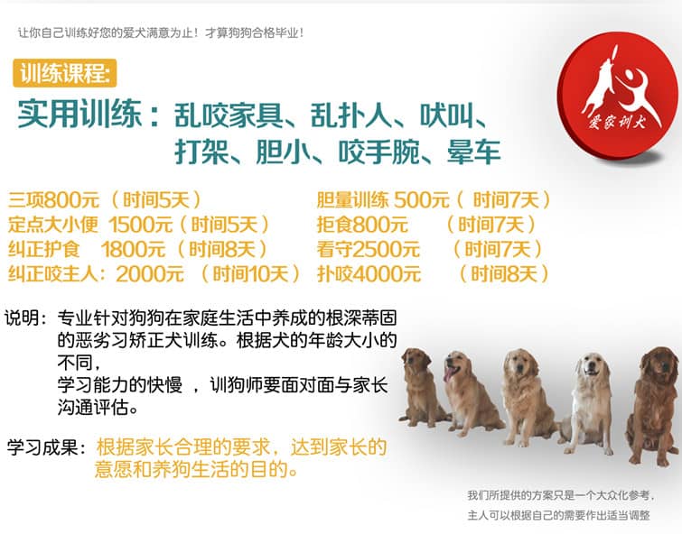 实用训练_副本.jpg 实用训练_副本.jpg