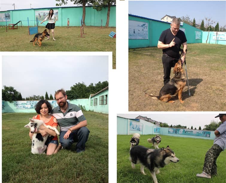 宠物训练,狗狗训练中上海爱家训狗基地 宠物训练,狗狗训练中上海爱家训狗基地