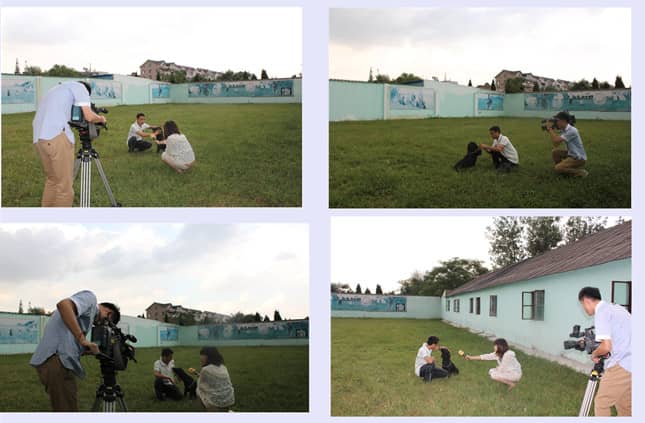 训狗教学图片 训狗拍摄 训犬演示 训狗教学图片 训狗拍摄 训犬演示