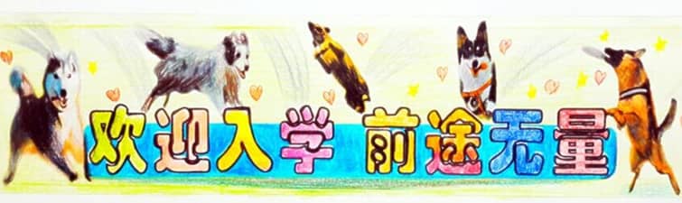 狗学校 训狗学校 狗狗上学 狗学校 训狗学校 狗狗上学