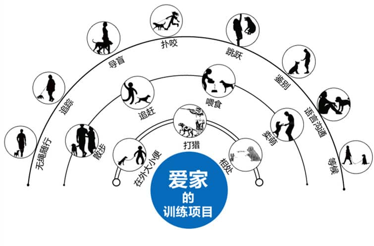 训犬课程介绍 训狗课程介绍 训犬课程介绍 训狗课程介绍