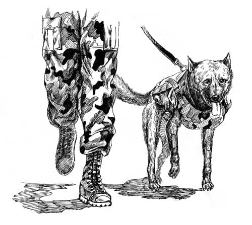 训狗学费 训狗收费情况 狗狗学费 训狗学费 训狗收费情况 狗狗学费