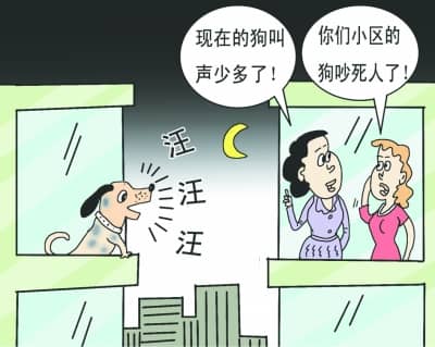 狗乱叫 训狗不乱叫 训狗不叫 狗乱叫 训狗不乱叫 训狗不叫