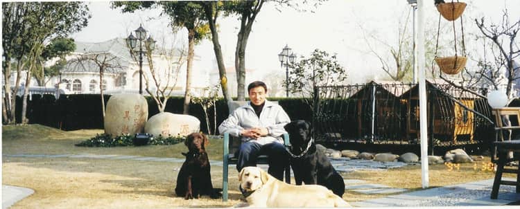 狗狗礼仪训练 训狗基地 训狗学校 狗狗礼仪训练 训狗基地 训狗学校