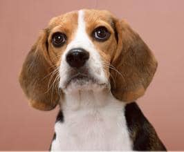 u=1671573117,121399631&fm=21&gp=0.jpg u=1671573117,121399631&fm=21&gp=0.jpg