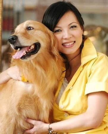 狗狗租赁 出租狗狗