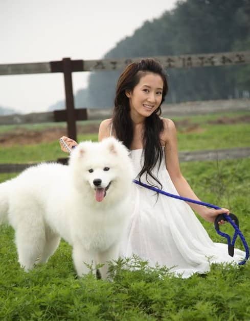 狗出租 出租狗 训狗出租