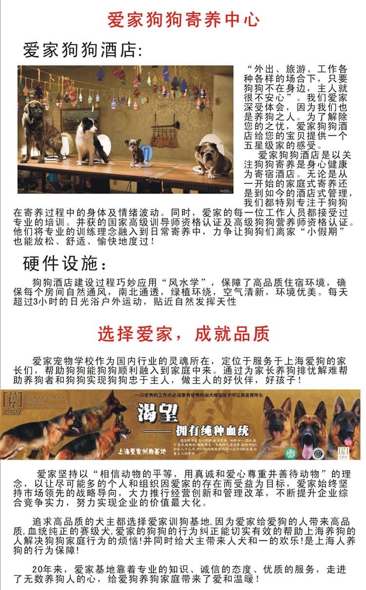 宠物酒店 狗狗酒店 狗狗寄养 宠物酒店 狗狗酒店 狗狗寄养