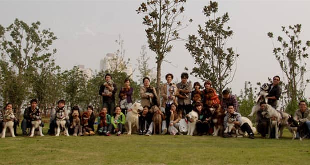 宠物户外活动 训狗活动 训狗