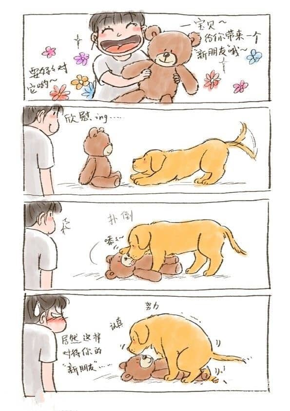 上海犬行为纠正 犬行为改良 上海犬行为训导 上海犬行为纠正 犬行为改良 上海犬行为训导