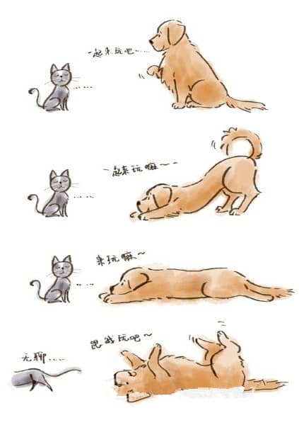 上海犬行为纠正 犬行为改良 上海犬行为训导 上海犬行为纠正 犬行为改良 上海犬行为训导