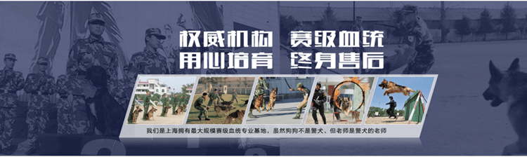 训狗师培训课程 训狗课程 训狗科目表 狗狗训练收费标准 训狗标准 上海爱家训狗基地 训狗师培训课程 训狗课程 训狗科目表 狗狗训练收费标准 训狗标准 上海爱家训狗基地