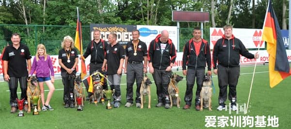 训狗培训问答 训狗问答 训犬师培训 宠物驯导师培训 训狗培训问答 训狗问答 训犬师培训 宠物驯导师培训