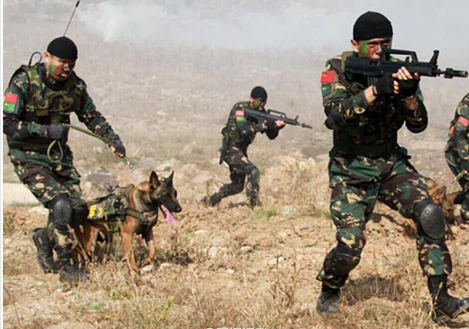 带警犬 带警犬训练 训练警犬 训狗基地.jpg