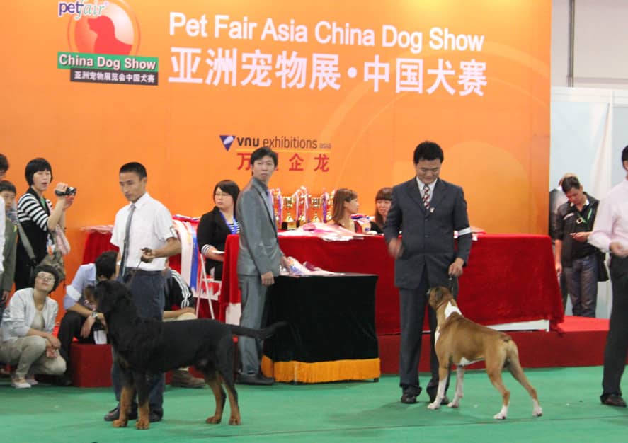 狗狗比赛 狗狗赛事 上海爱家训狗学校.jpg