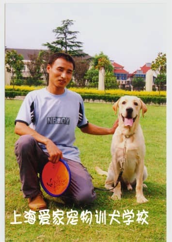 狗训练学校 狗训练中心 狗狗培训基地 上海爱家训狗学校.JPG