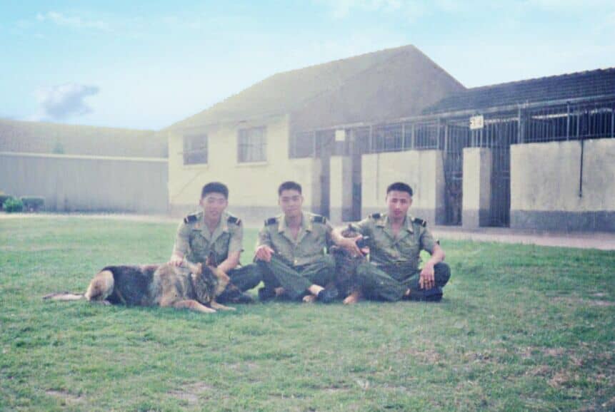 上海警犬训练 训练警犬照 警犬训练.jpg