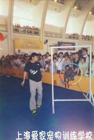 训狗 训狗表演 专业训狗 训狗学校专业训狗表演.JPG