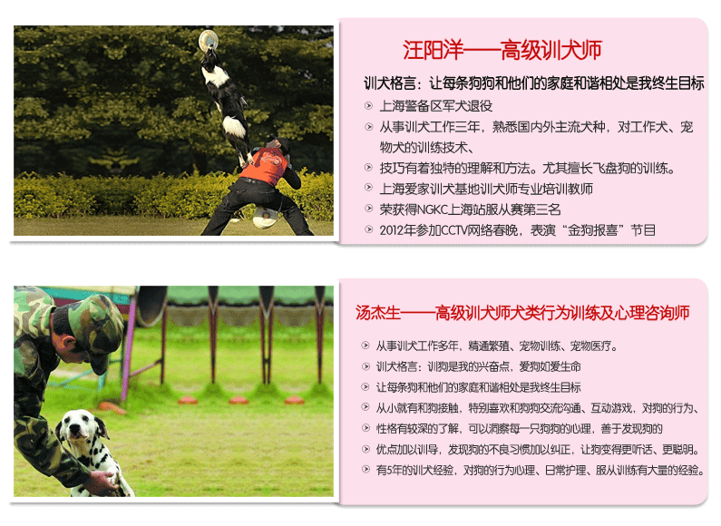 源文件训犬师介绍_06.gif