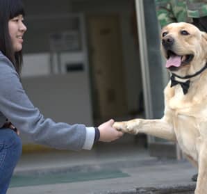 201609091720055369.jpg 201609091720055369.jpg