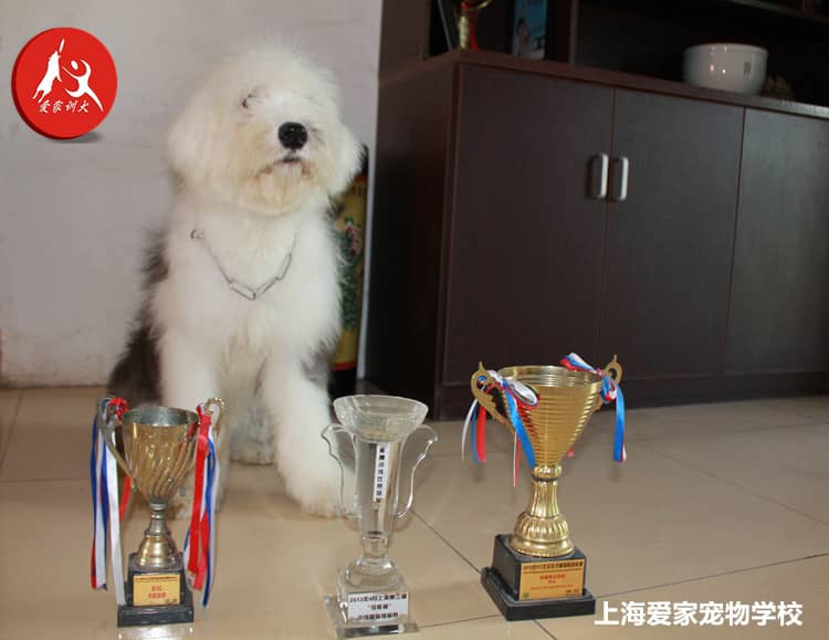 照片 215_副本.jpg