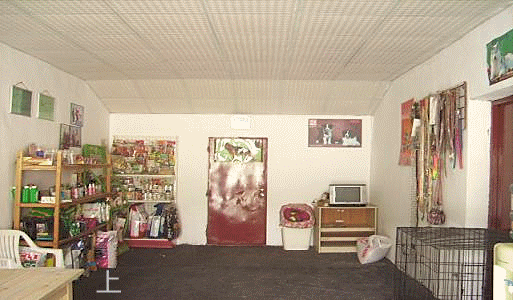 宠物俱乐部 宠物学校 训狗基地.gif