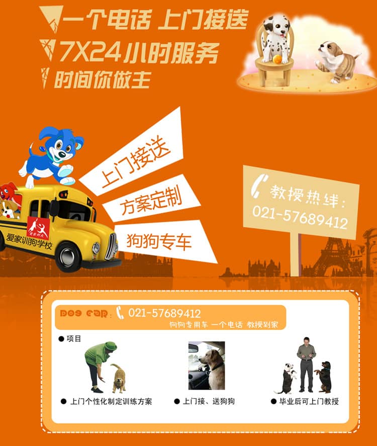 狗狗上学上门训狗.jpg 狗狗上学上门训狗.jpg