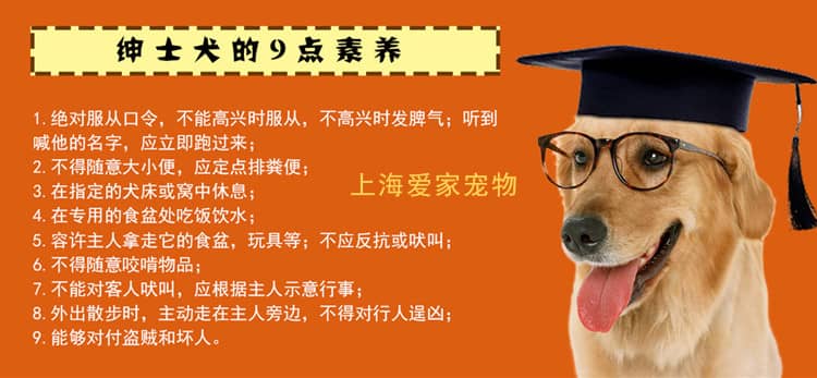 14862633453658384.jpg 14862633453658384.jpg