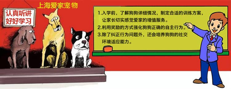 14862634127239241.jpg 14862634127239241.jpg