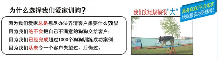 15339792965080427.jpg 15339792965080427.jpg