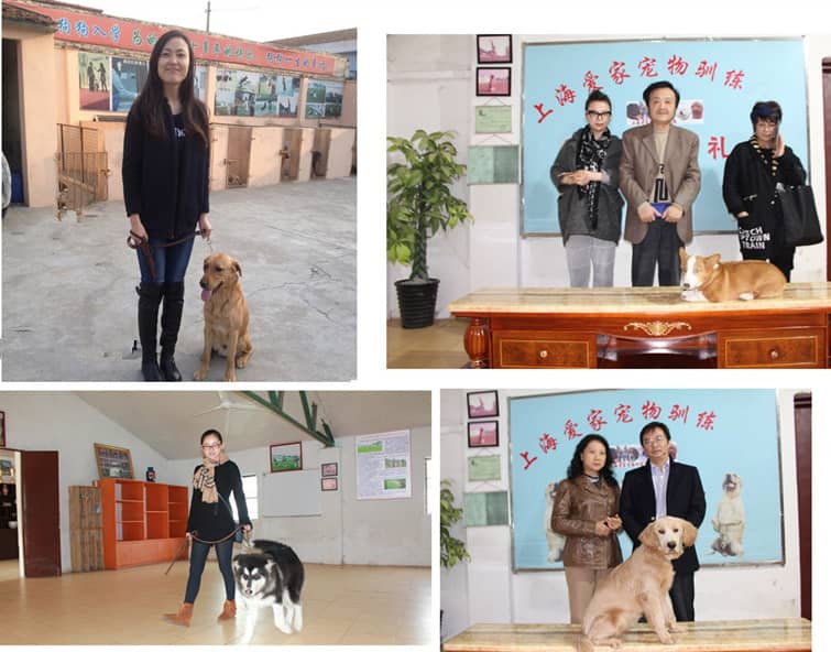 14556879391640744.jpg 14556879391640744.jpg