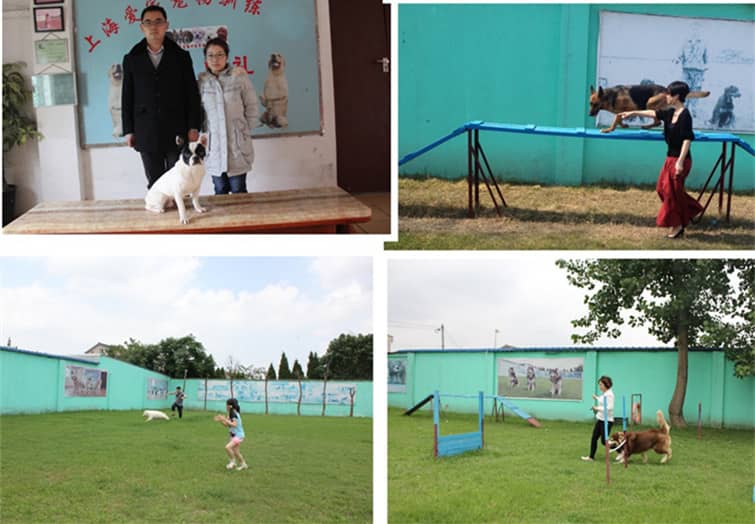 14556879746072767222.jpg 14556879746072767222.jpg