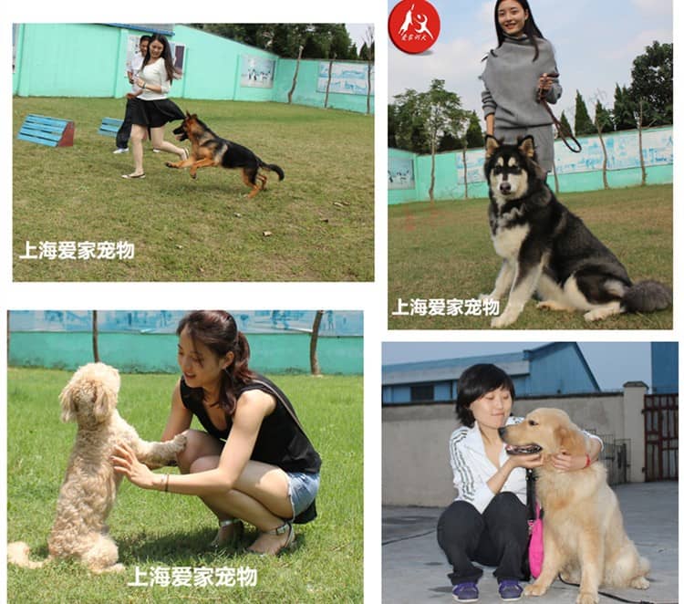 145569659377212661111.jpg 145569659377212661111.jpg