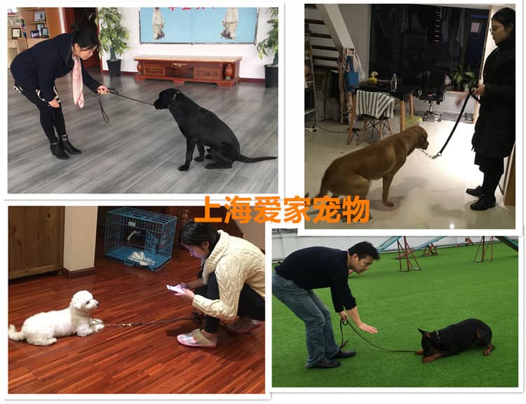 14862669576583494.jpg 14862669576583494.jpg