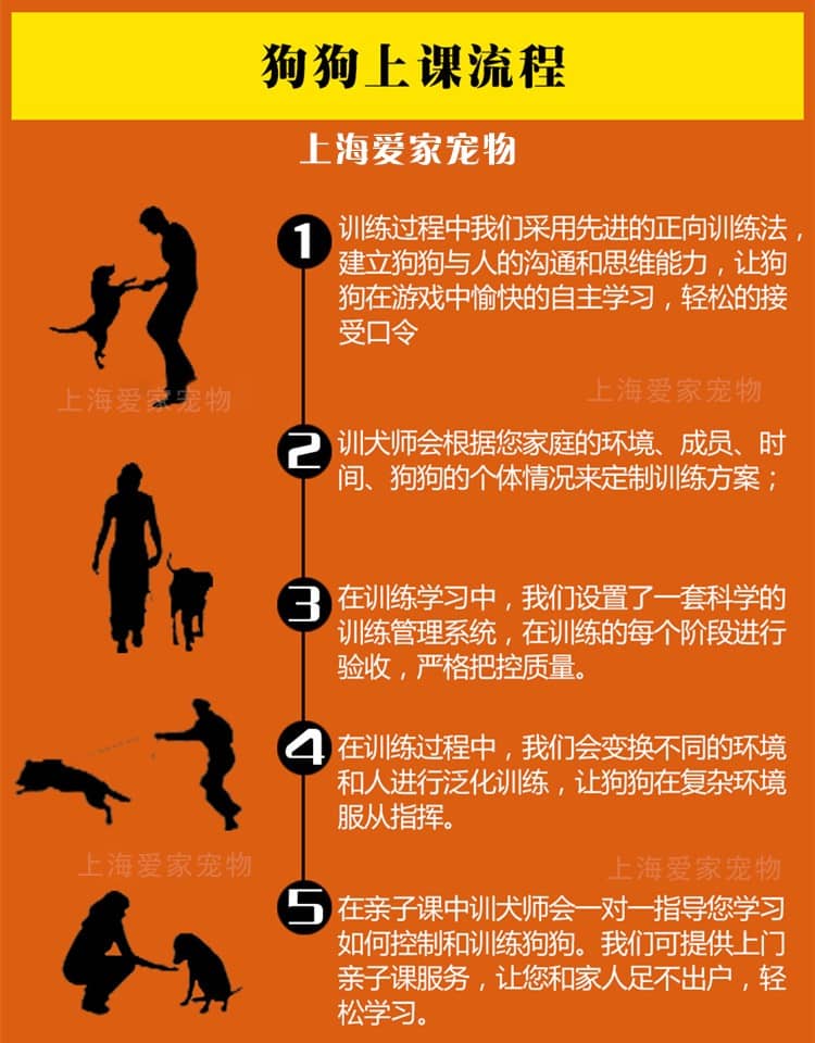 15339790792509626.jpg 15339790792509626.jpg