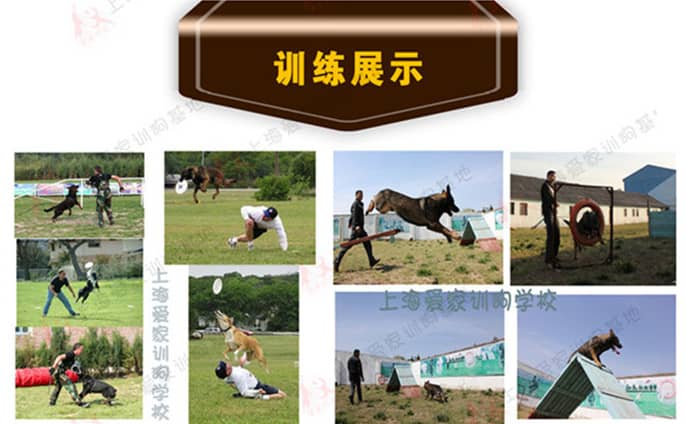 课程副本_副本0005_副本.jpg 课程副本_副本0005_副本.jpg